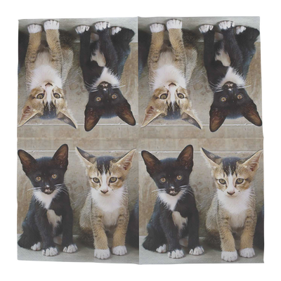 Servilleta Papel Gatitos 33x33 20 unidades